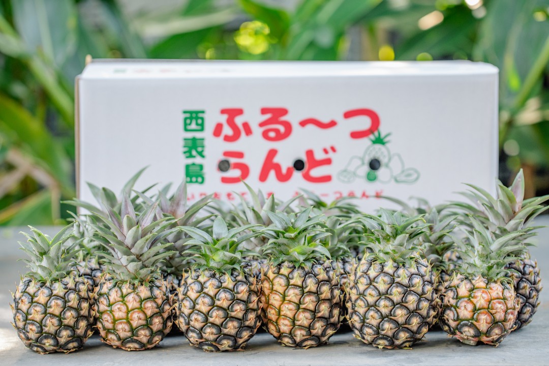 西表島ふる~つらんど