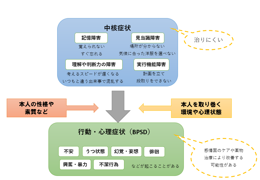 認知症の中核症状と行動心理症状（BPSD)