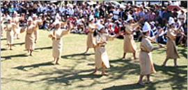 伝統行事の種子取祭の様子