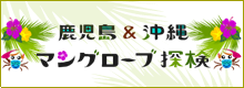 特定非営利活動法人マングローバル