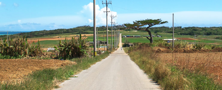 小浜島