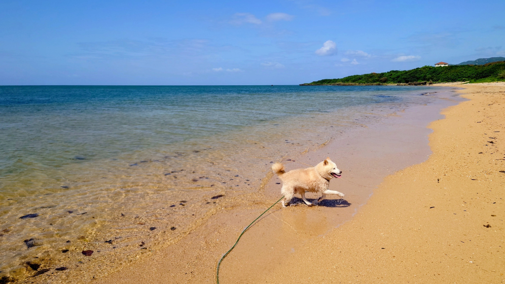 11枚目の作品です