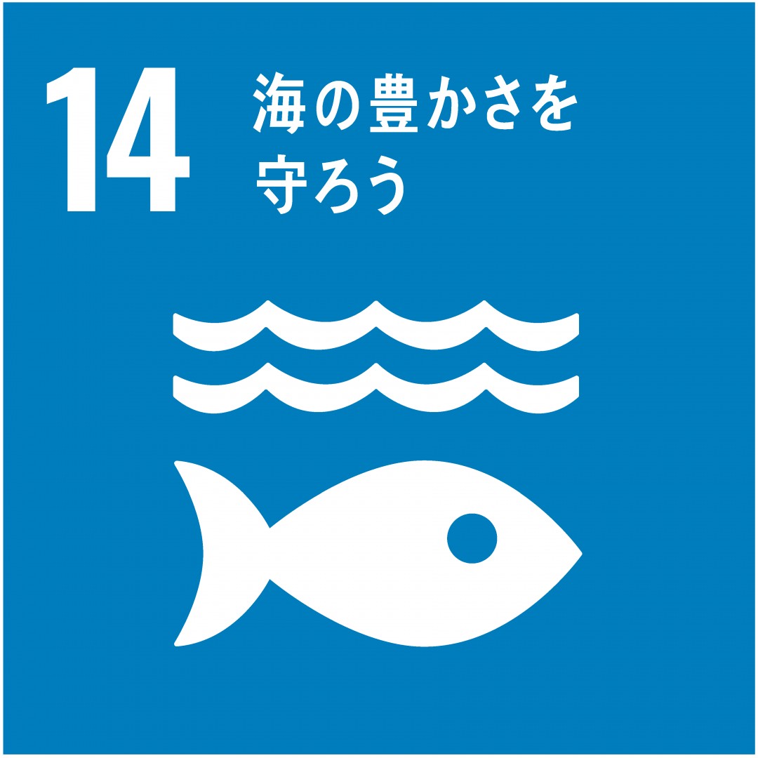 17．パートナーシップで目標を達成しよう