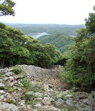 金田城（かねだじょう/かなたのき/かねたのき）は、対馬国下県郡の城山（じょうやま、現在の長崎県対馬市美津島町黒瀬）にあった日本の古代山城（分類は朝鮮式山城）。城跡は国の特別史跡に指定されている。