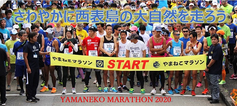 さわやかに西表島の大自然を走ろう、やまねこマラソン2020年